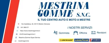 Mestrina gomme